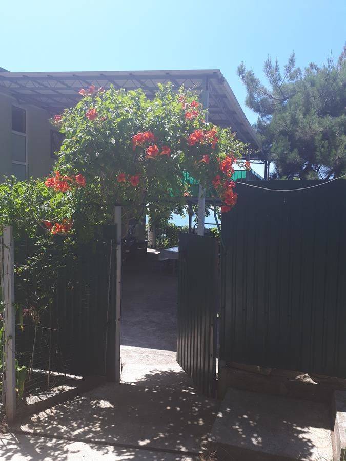 Фото Гостевого дома Мини Отель Багрыпста Цандрыпш 19